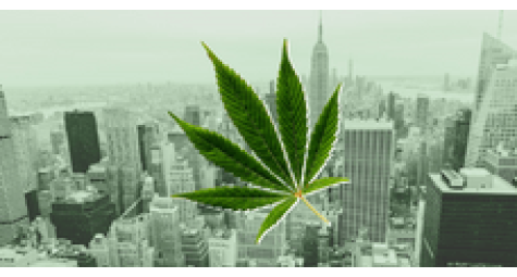 New Yorkers want to buy cannabis for $1