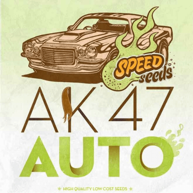Семена конопли Auto Ak-47 Feminised Семена конопли Auto Ak-47 Feminised