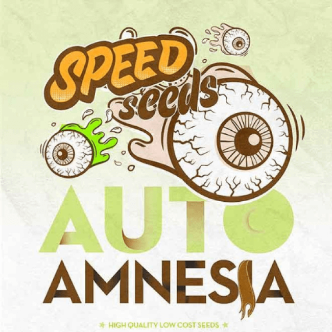 Насіння коноплі Auto Amnesia Feminised Насіння коноплі Auto Amnesia Feminised