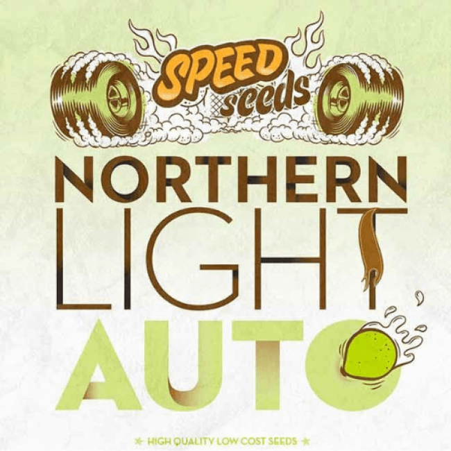 Насіння Northern Lights авто фем Насіння Northern Lights авто фем