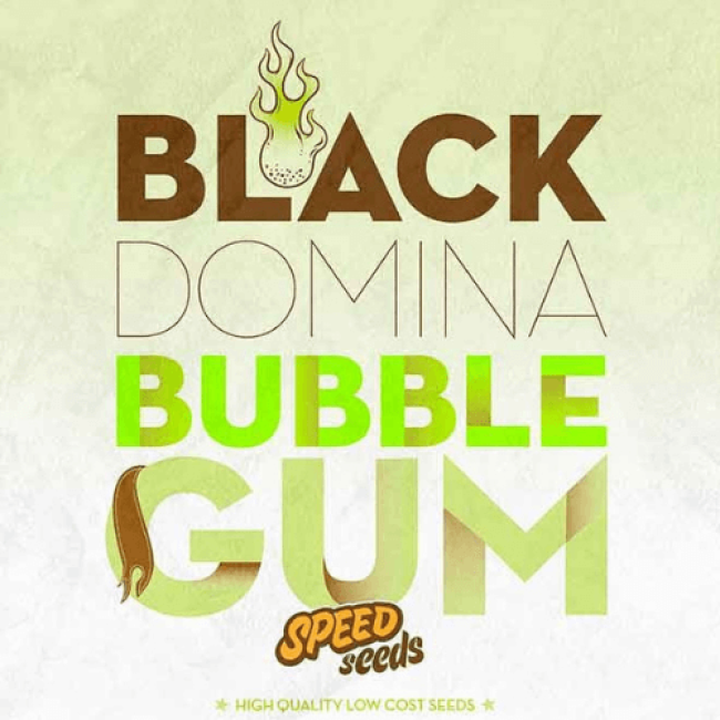 Black domina bubble Gum Black domina bubble Gum