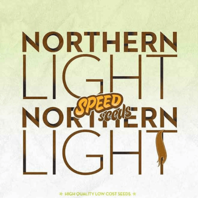 Феминизированные Семена Northern Lights Феминизированные Семена Northern Lights