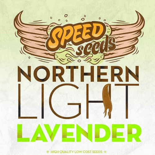 Семена конопли Northern Light x Lavender