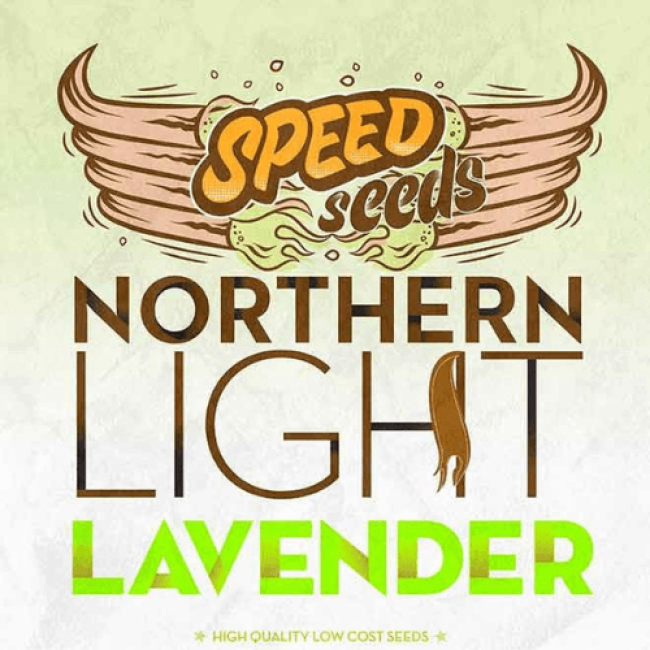 Насіння коноплі Northern Light x Lavender Насіння коноплі Northern Light x Lavender
